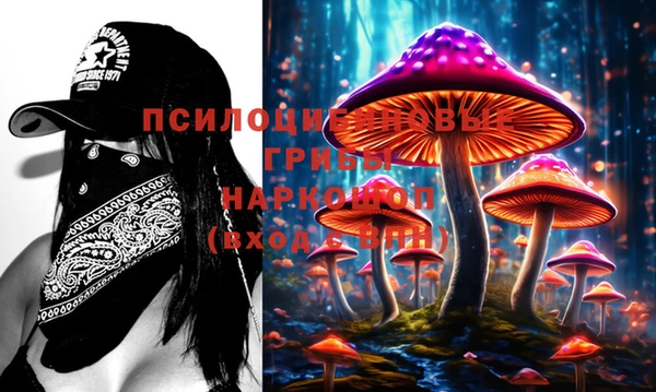 дмт Дмитровск