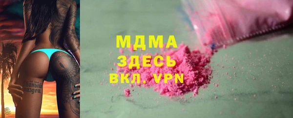 PSILOCYBIN Ельня