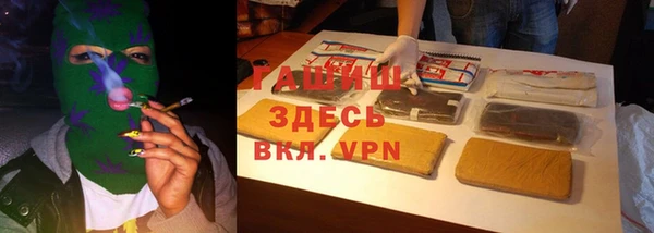 дмт Дмитров