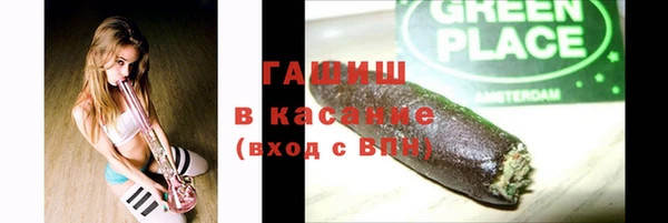дмт Дмитров