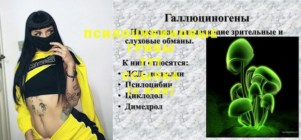 дмт Дмитров
