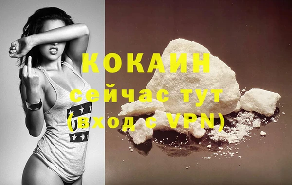 дмт Дмитровск