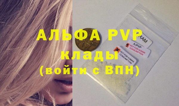 дмт Дмитров