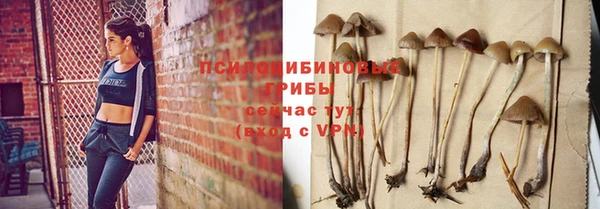 PSILOCYBIN Ельня